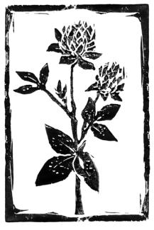 Laughing Earth Logo Black and White Flowers