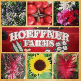 image with 6 squares of images of sunflower, tomatoes, flowers, green veggies and plants with logo in middle white font