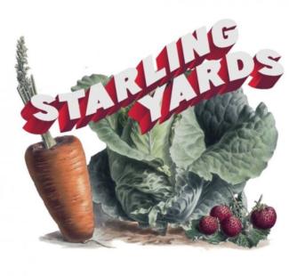 Cabbage, carrot drawn and colored in with logo over 