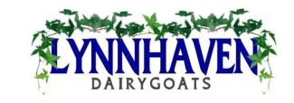logo blue lettering with greenery surrounding. 