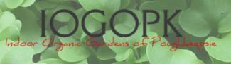 logo shoots in background with IOGOPK in black font