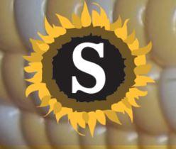 corn background with a sunflower and a white S in the middle