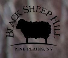 Black font logo with black sheep