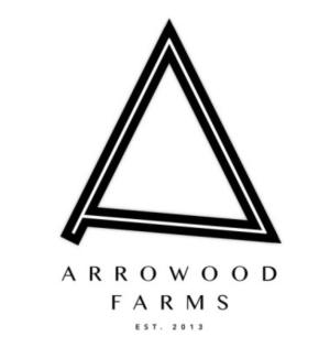 Black triangle with black font logo