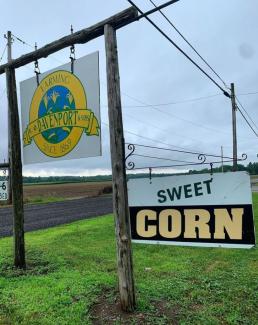 Sign hanging out front of farm yellow and white
