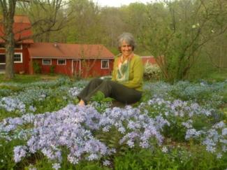 field of purple and white flowers with a woman sitting in the middle